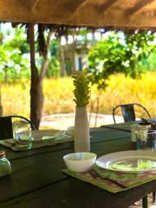 punjab village farm near amritsar