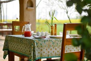 punjab village farm near amritsar