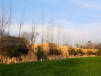 punjab village farm near amritsar