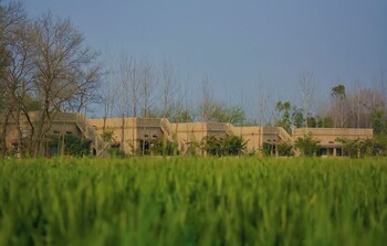 punjab village farm near amritsar