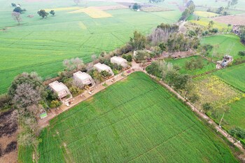 punjab village farm near amritsar