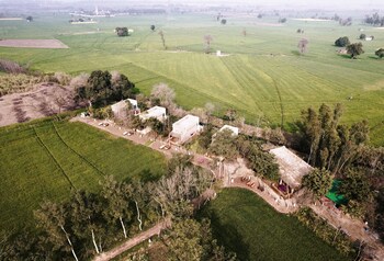 punjab village farm near amritsar