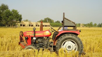 punjab village farm near amritsar