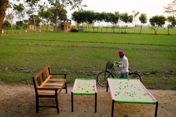 punjab village farm near amritsar