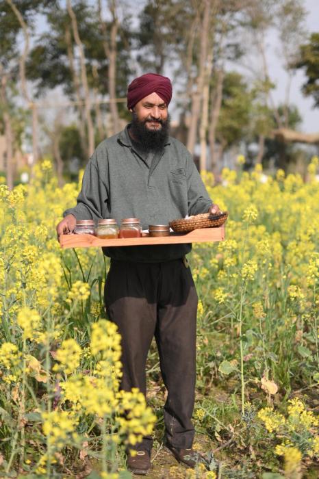 punjab village farm near amritsar