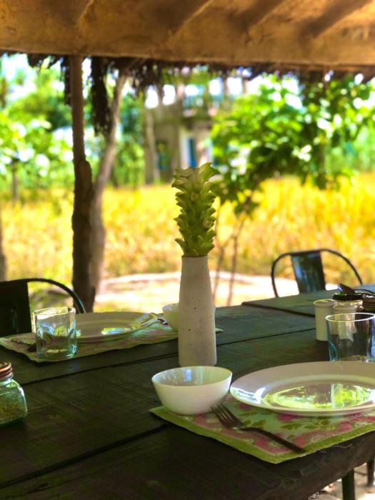 punjab village farm near amritsar