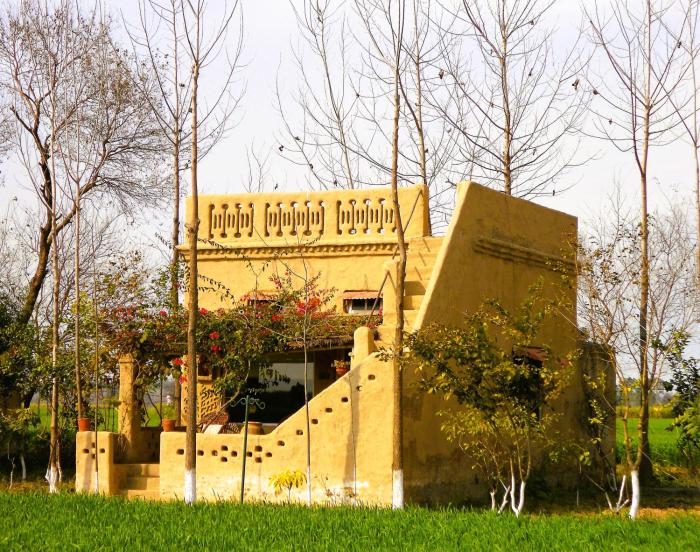 punjab village farm near amritsar