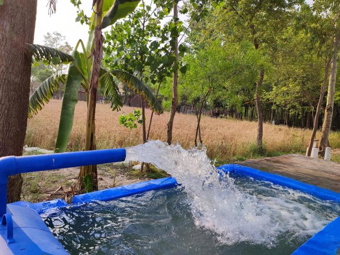 punjab village farm near amritsar