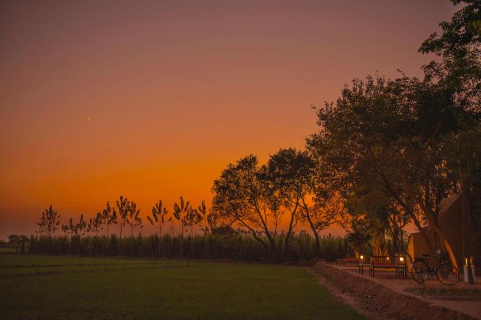 punjab village farm near amritsar