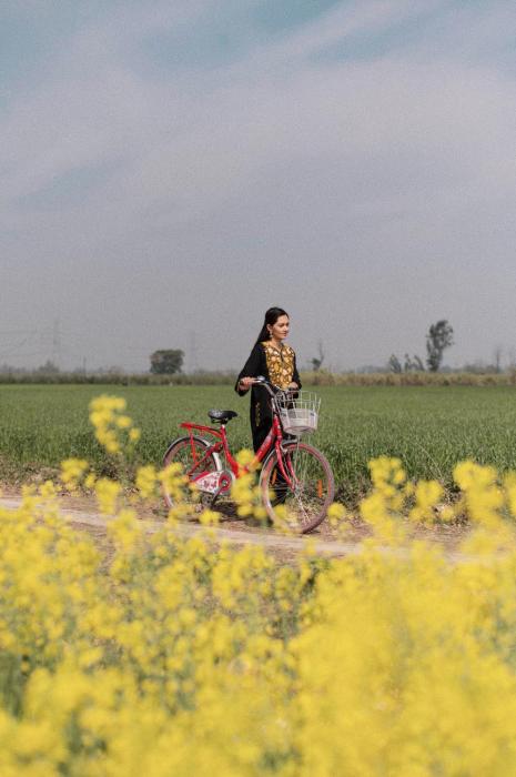 punjab village farm near amritsar