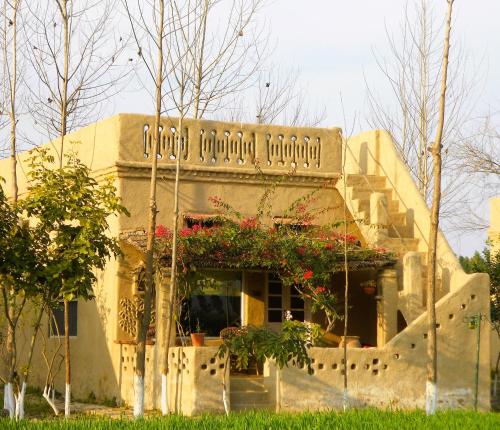 punjab village farm near amritsar