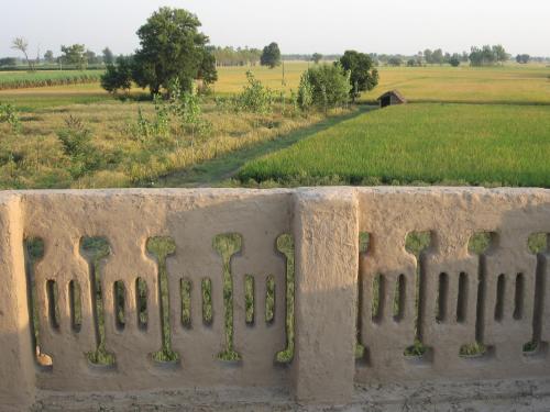 punjab village farm near amritsar