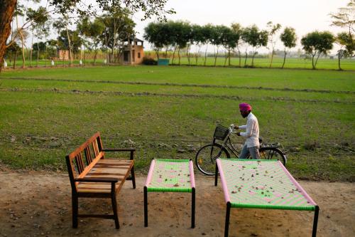 punjab village farm near amritsar