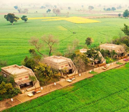 punjab village farm near amritsar