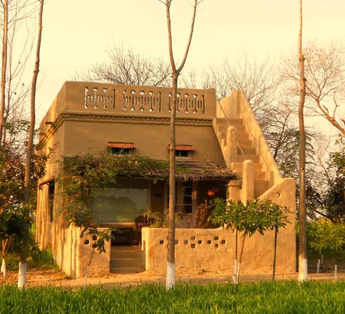 punjab village farm near amritsar