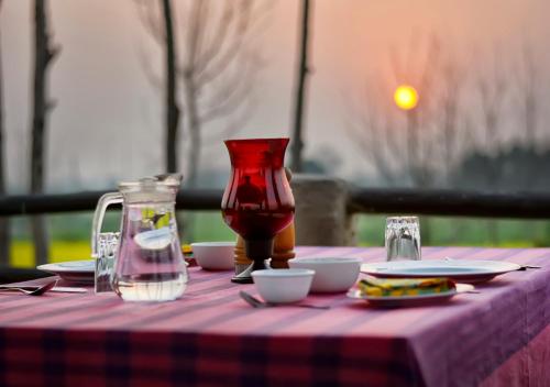 punjab village farm near amritsar