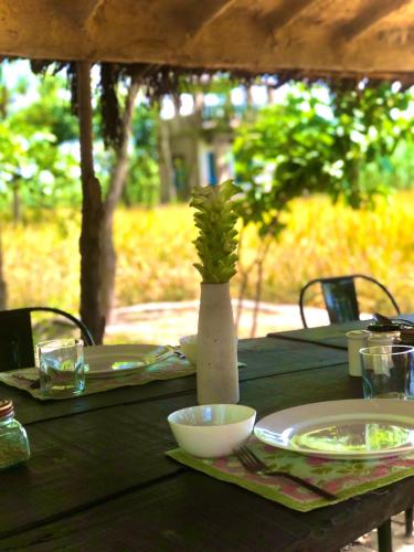 punjab village farm near amritsar