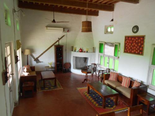 punjab village farm near amritsar