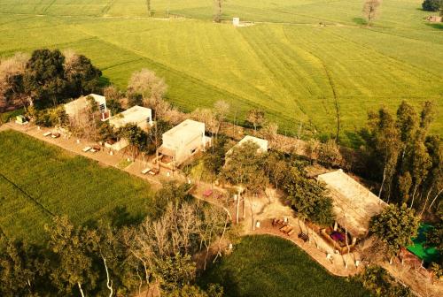 punjab village farm near amritsar