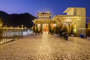 palm aryan pause by the stream