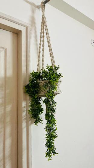 Lebron Castle,,3 star