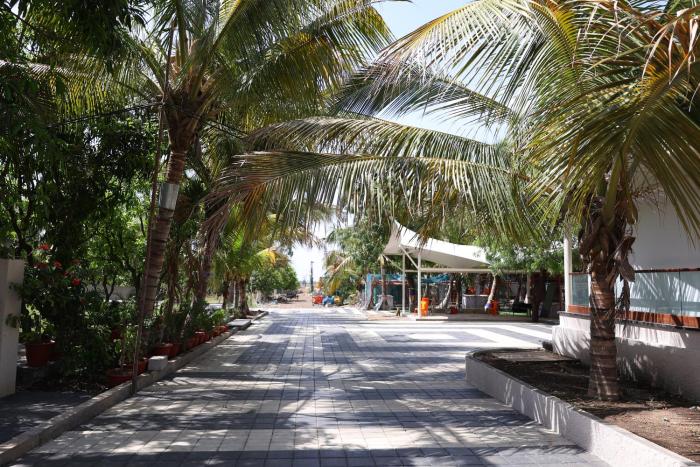 coconut lagoon agro resort