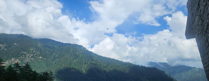 whistling wood by jai maa jwala groups