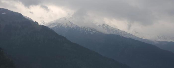 whistling wood by jai maa jwala groups