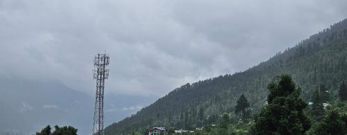 whistling wood by jai maa jwala groups