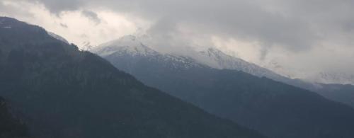 whistling wood by jai maa jwala groups