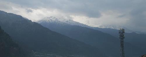 whistling wood by jai maa jwala groups