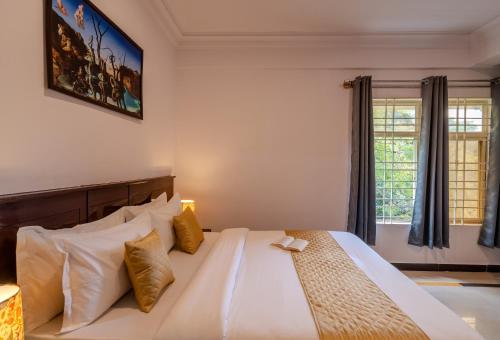 the social stays bangalore