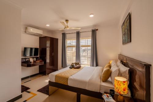 the social stays bangalore