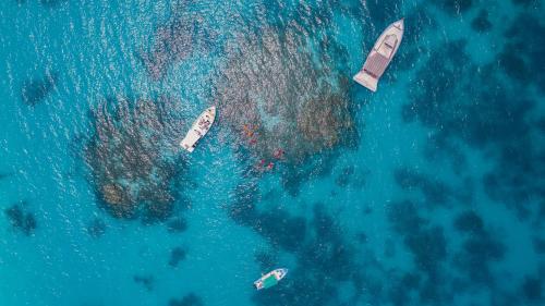 bangaram island