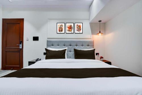 collection o karol bagh