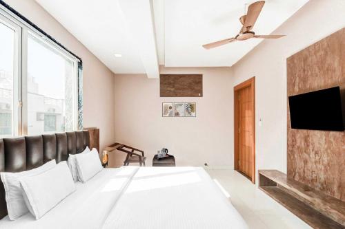 collection o sagar lake udaipur