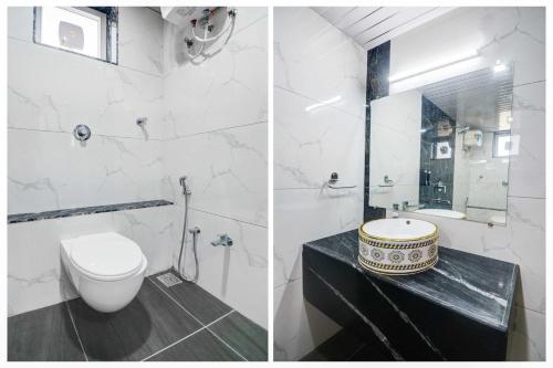 collection o sagar lake udaipur