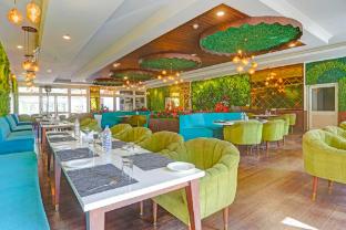 collection o shimla bus terminal