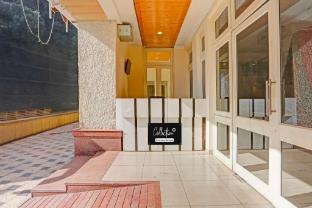 collection o shimla bus terminal