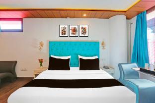 collection o shimla bus terminal