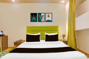 collection o shimla bus terminal