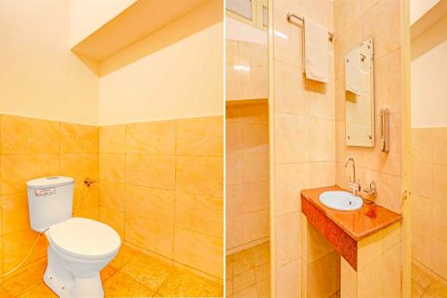 collection o shimla bus terminal