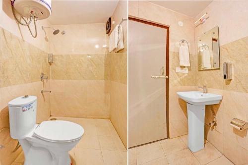 collection o shimla bus terminal