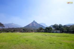 lotus hotel and resort