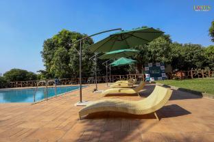 lotus hotel and resort