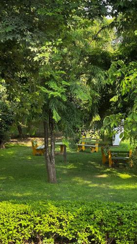 casa royale an escape with elegance and playstation