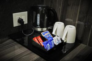 hotel mountain bliss new delhi