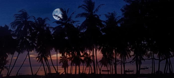 harish beach resort
