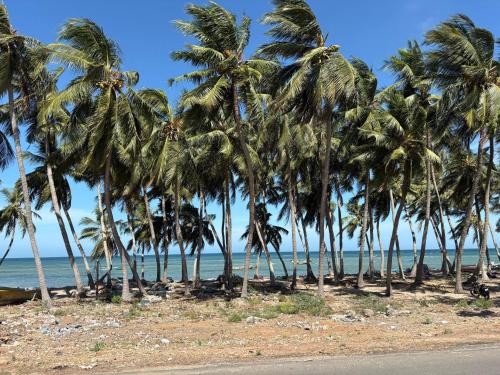 harish beach resort
