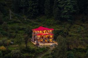 offbeat pulga by pack